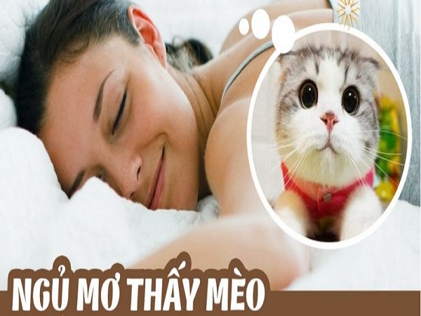 Mơ thấy mèo có điềm báo gì và đánh số lô tô nào?