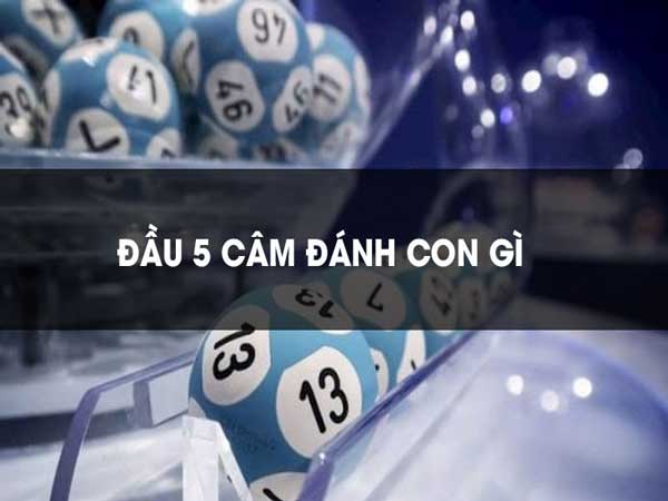 Đầu 5 câm hôm sau đánh con gì? Kinh nghiệm bắt đầu 5 câm