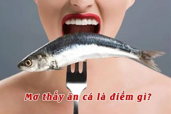 Mơ thấy ăn cá có điềm báo gì và đánh con số nào trúng?
