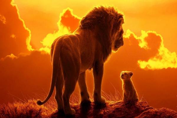 Mơ thấy sư tử có điềm báo gì và đánh số nào trúng lớn