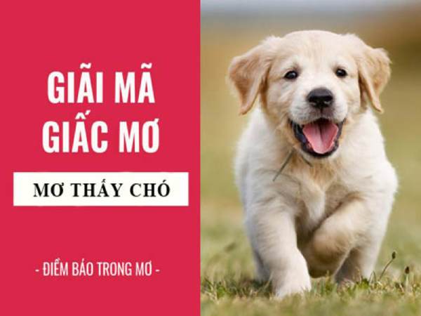 Dự đoán xổ số miền Trung thông qua giải mã giấc mơ Dự đoán xổ số miền Trung thông qua giải mã giấc mơ