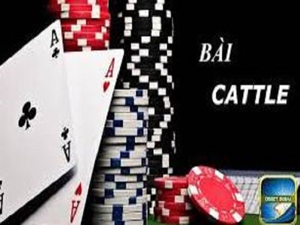 Luật chơi game Catte cơ bản