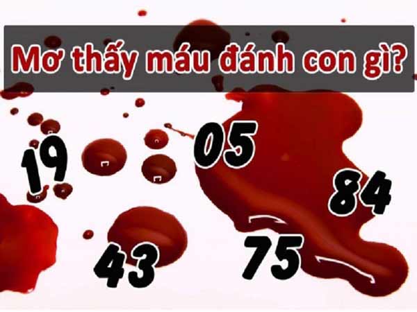 Mơ nhìn thấy máu đánh số gì?