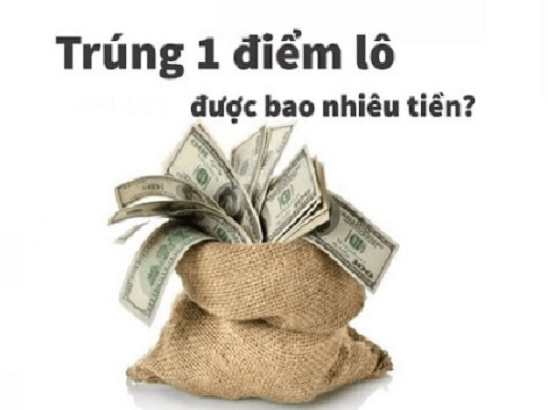 5 điểm lô là bao nhiêu tiền - thông tin cách tính điểm lô 5 điểm lô là bao nhiêu tiền - thông tin cách tính điểm lô