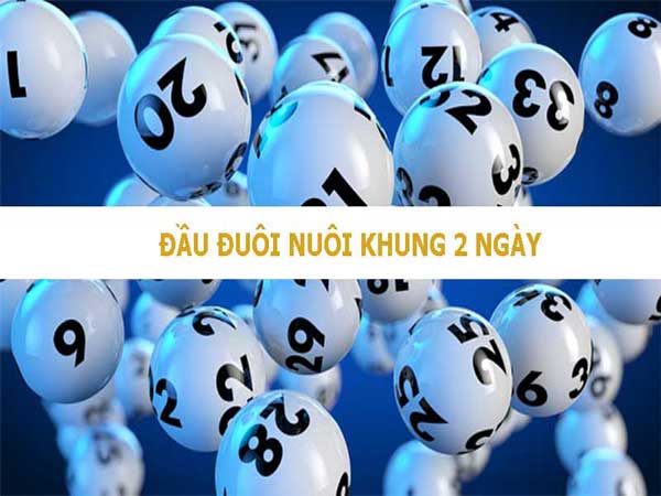 thông tin cách nuôi đầu đuôi khung 2 ngày hay nhất 2023