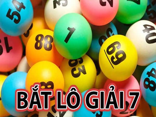 Cách bắt con giải 7 chuẩn xác nhất