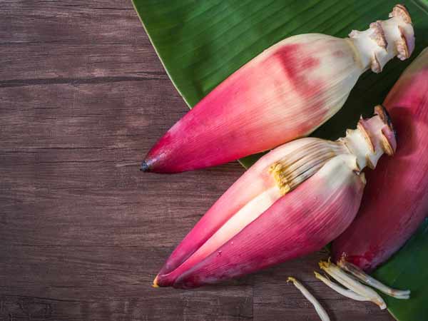 Mơ thấy hoa chuối đánh con gì?