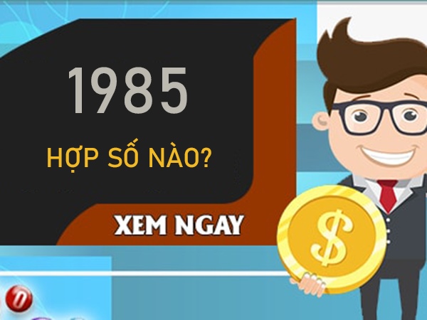 1985 hợp số nào - Cách sử dụng số đẹp phù hợp