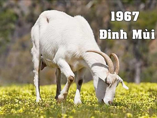 Mệnh Thủy 1967 hợp số nào tỏa sáng quyền uy?