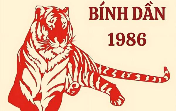 Bính Dần 1986 hợp số nào giúp gia chủ đón lộc về nhà?