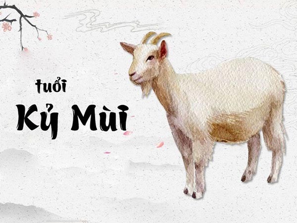 Tổng quan về người tuổi Kỷ Mùi ngày 27/6/2025 thứ 6 hôm nay