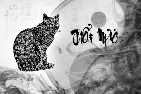 Thần tài gõ cửa với số may mắn tuổi Mão 25/6/2025