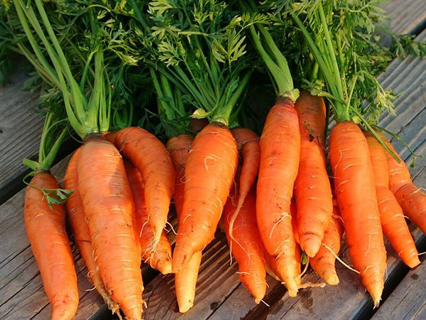 Có nên tin vào điềm lành khi mơ thấy củ cà rốt không?
