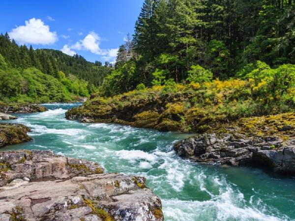 Nằm mơ thấy nước chảy xiết là điềm gì, có đáng sợ không?