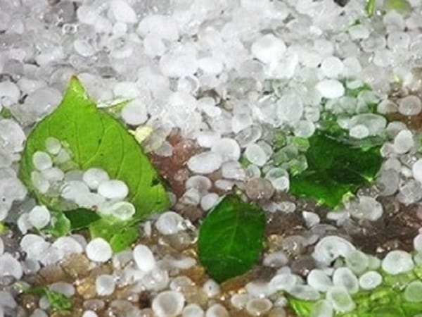 Nằm mơ thấy mưa đá có ý nghĩa gì?